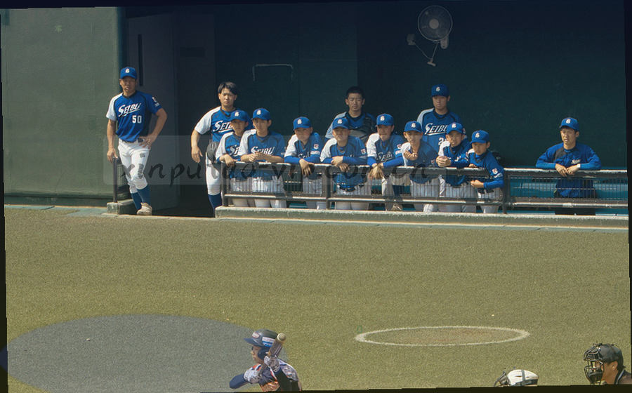 栏目内容在 1920×1080 分辨率下的横向滚动排版比例示意